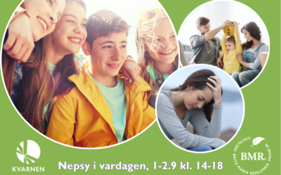 Nepsy i vardagen – utmaningar och strategier för bemötande och stöd, 1-2.9