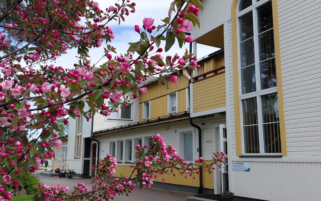 Sommarboende vid Kvarnen!